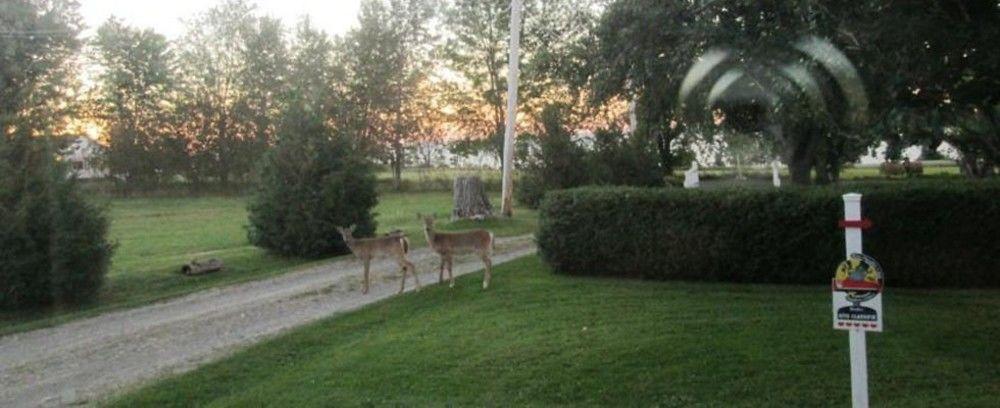 Gite Les Acres Tranquilles B&B Port-Daniel Dış mekan fotoğraf